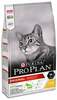Kuivtoit kassidele Pro Plan Original Adult kanaga, 1,5 kg