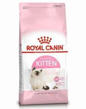 Kuivtoit kassipoegadele Royal Canin Kitten, 10 kg