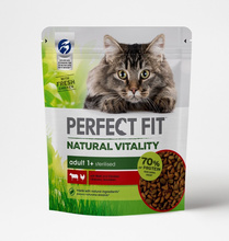 Kuivtoit kassipoegadele PERFECT FIT Natural Vitality 1 Plus, 650 g