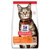 Kuivtoit kassidele Hill's Science Plan Adult lambalihaga, 10 kg