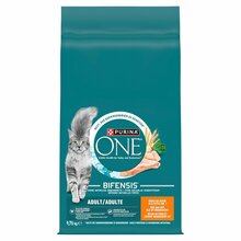 Kuivtoit kassidele Purina One Adult Chicken, 9,75 kg
