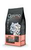 Kuivtoit kassidele Optima Nova Cat Adult Salmon & Potato Grain Free, 8 kg