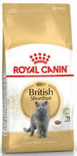 Kuivtoit kassipoegadele Royal Canin British Shorthair, 4 kg