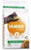 Kuivtoit kassidele Iams for Vitality Adult lambalihaga, 10 kg
