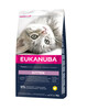 Kuivtoit kassipoegadele Eukanuba Kitten All Breeds Healthy Start kanaliha ja maksaga, 2 kg