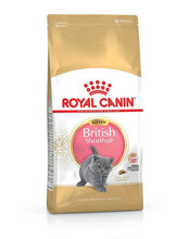 Kuivtoit kassipoegadele Royal Canin Kitten British Shorthair, 10 kg