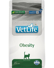 Kuivtoit kassidele Farmina Vet Life Obesity, 2 kg