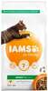 Kuivtoit kassidele IAMS Cat Adult, kanaliha, 2 kg