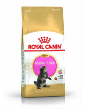 Kuivtoit kassipoegadele Royal Canin Maine Coon Kitten, 4 kg