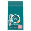 Kuivtoit kassidele Purina One Adult Salmon, 9,75 kg