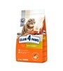 Kuivtoit kassipoegadele Club 4 Paws Premium küülikulihaga, 2 kg