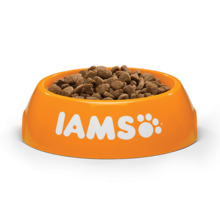 Kuivtoit kassipoegadele kanaga Iams Kitten, 3 kg