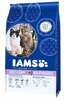 Kuivtoit kassidele Iams ProActive Health Adult & Senior lõhe ja kanaga, 15 kg