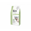 Kuivtoit kassidele Brit GF Veterinary Diets Cat Diabetes, 400 g
