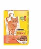 Kuivtoit kassidele Friskies kanaga ja köögiviljadega, 1 kg