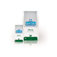 Kuivtoit kassidele Farmina Vet Life, 400 g