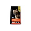 Kuivtoit täiskasvanud steriliseeritud kassidele Farmina Matisse Cat Dry Neutered Salmon, 400 g