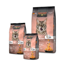 Kuivtoit kassidele Leonardo Adult Grain Free, lõhega, 300 g