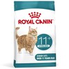 Kuivtoit kassidele Royal Canin Ageing 11+, 4 kg