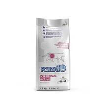 Kuivtoit kassidele FORZA10 Intestinal Active, 1.5 kg