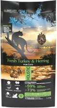 Kuivtoit steriliseeritud kassidele Ambrosia Sterilised Fresh Turkey & Herring, 5 kg