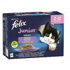 Felix Fantastic Junior kassipoegadele, 12x85g