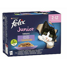 Felix Fantastic Junior kassipoegadele, 12x85g