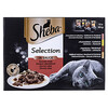 Märgtoit kassidele Sheba Selection in Sauce Juicy Flavours, 12x85g