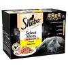 Märgtoit kassipoegadele Sheba Poultry, 12 x 85 g