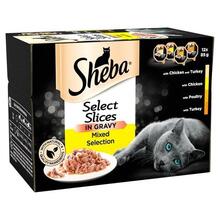 Märgtoit kassipoegadele Sheba Poultry, 12 x 85 g