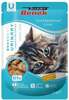 Märgtoit kassidele Super Benek Professional Line Adult Urinary, 100 g