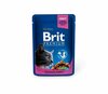 Konserv kassidele Brit Premium Chicken & Turkey kanaliha ja kalkuniga, 100 g
