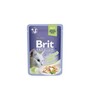 Konserv kassidele Brit Premium Delicate Trout in Jelly, 85 g