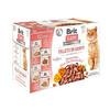 Märgtoit kassidele Brit Care Fillets in Gravy, 12 x 85 g
