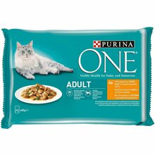 Märgtoit kassidele One Adult kanaliha, spargel, oad kastmes, 4 x 85 g