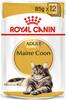 Märgtoit kassipoegadele Royal Canin Maine Coon, 12 x 85 g