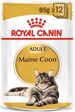 Märgtoit kassipoegadele Royal Canin Maine Coon, 12 x 85 g