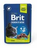Konserv steriliseeritud kassidele Brit Premium Lamb, 100 g