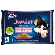 Märgtoit kassipoegadele Felix Fantastic Junior, kana ja lõhe, 4x85 g