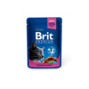 Märgtoit kassipoegadele Brit Premium Chicken&Turkey, 100 g, 24 tk