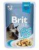 Märgtoit kassipoegadele Brit Premium Cat Fillets in Gravy kanaga, 24 x 85 g