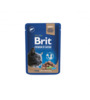 Konserv steriliseeritud kassidele Brit Premium Liver, 100 g