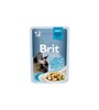 Konserv Brit Premium Cat Delicate Chicken in Gravy, 85 g