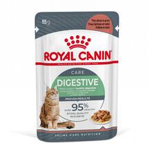 Märgtoit kassidele Royal Canin Digest Sensitive, kastmes, 12x85g