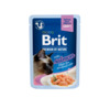 Märgtoit kassipoegadele Brit Premium Delicate Salmon for Sterilised in Gravy, 85 g