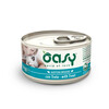 Oasy Tasty Mousse pasteet forelliga kassidele, 85 g