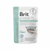 Märgtoit kassipoegadele Brit GF Veterinary Diets Urinary and Stress Relief, 85 g