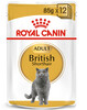 Märgtoit kassidele Royal Canin British Shorthair, 85 g, 12 tk