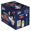 Felix Fantastic maitsed maapiirkonnast tarretises, 24x85g