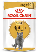 Märgtoit kassidele Royal Canin British Shorthair, 85 g, 12 tk